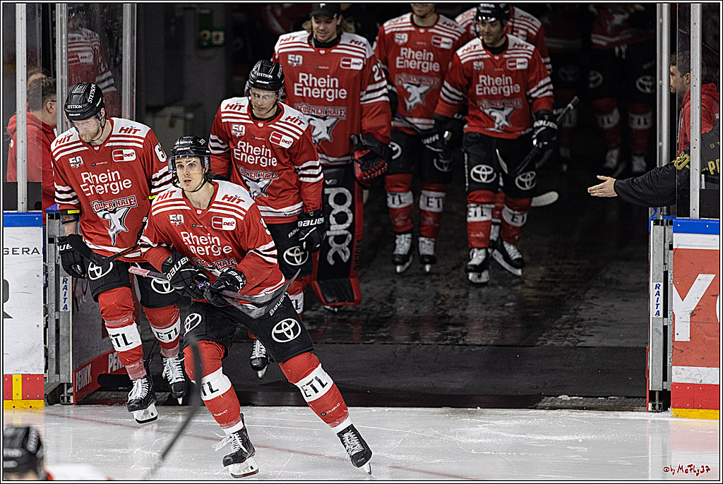 PENNY DEL;  Koelner Haie - Bietigheim Steelers; Koeln, 22.01.2023